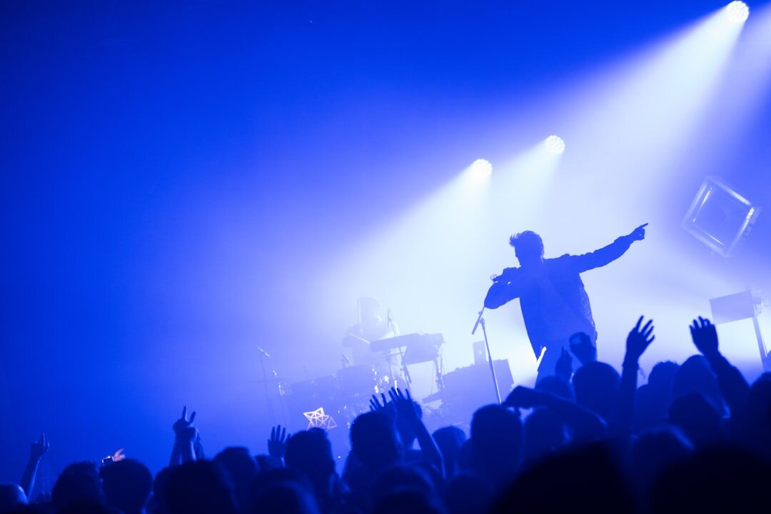 fans at concert